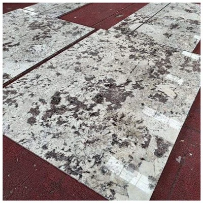 Placi de granit alb Splendor